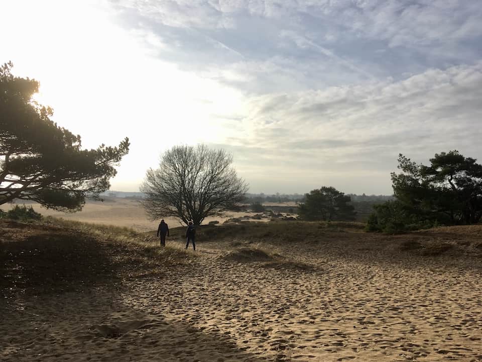 KaleDuinen_voorlopen1-12-18_IMG_E0941