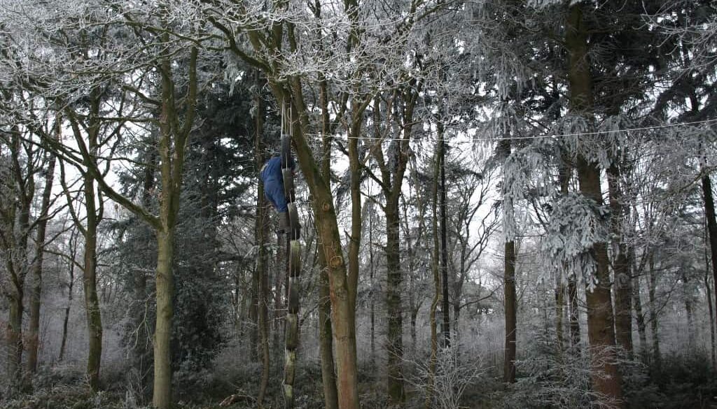 achtergrond-1024x768