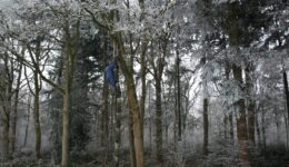 achtergrond-1024x768