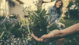 planting-865294_640