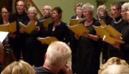 Concert_Matricale_2013_10_261-522x224-1