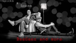 foto Spicks and Specks - VlechtTheater - Noordwolde