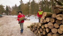 haardhout-6