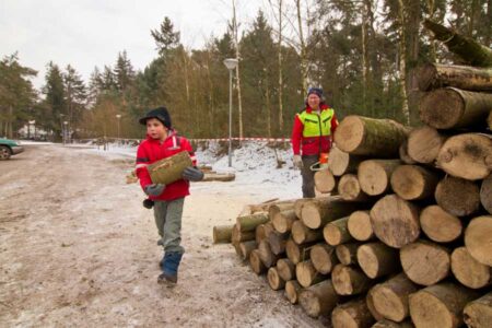 haardhout-6