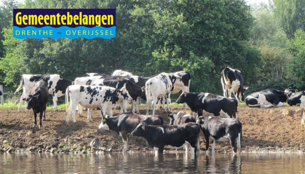 gemeentebelangen-overijssel-drenthe