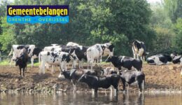 gemeentebelangen-overijssel-drenthe