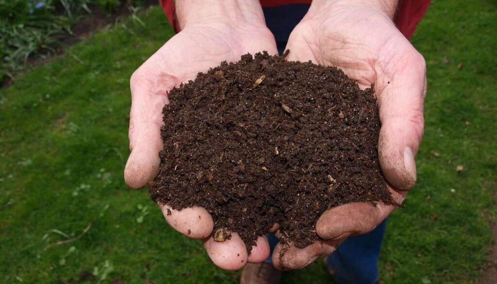 compost (Foto Pixabay)