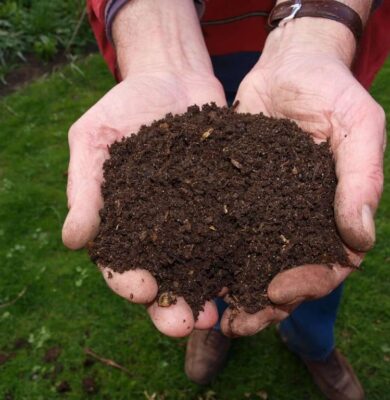 compost (Foto Pixabay)