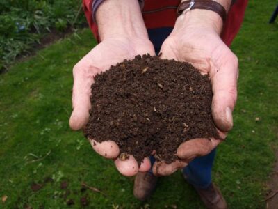 compost (Foto Pixabay)