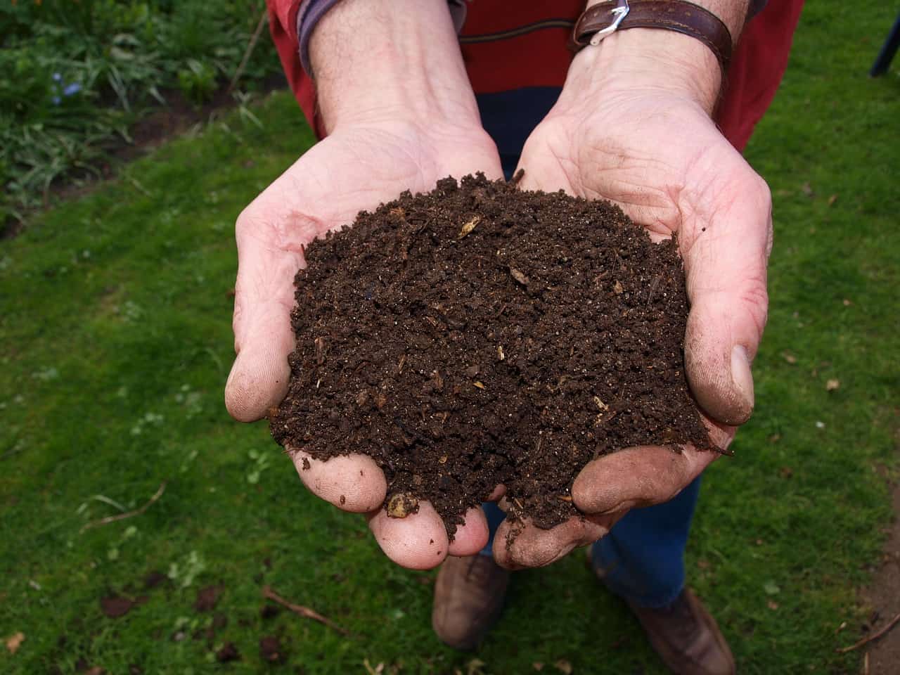 compost (Foto Pixabay)