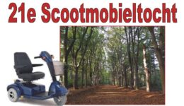 scoot