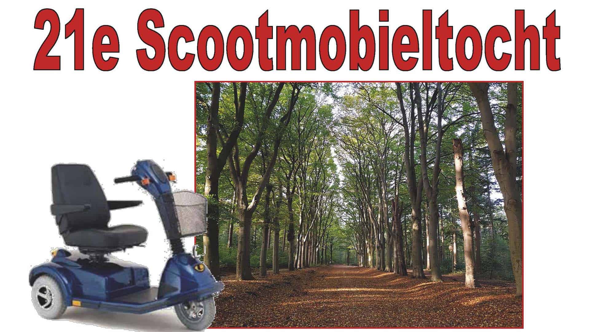 scoot