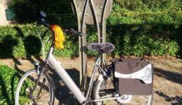 20180701_073143-fiets-voor-de-W-van-Willemsoord