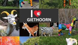 Collage Kunstige geitjes