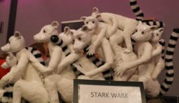 Maquette-Stark-Wark-Eensgezind