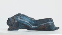 Annemoon van Hemel