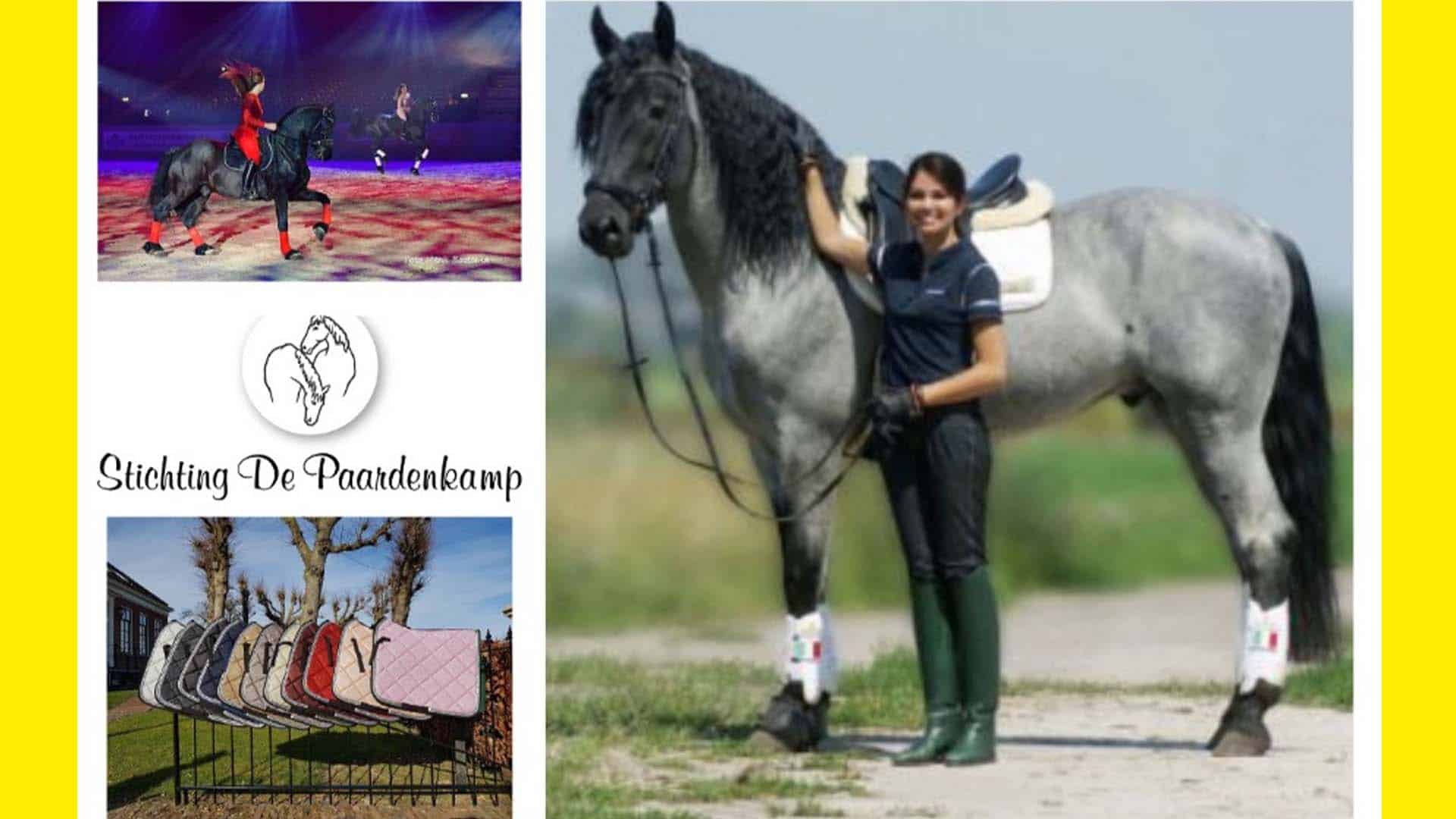 paardenkamp