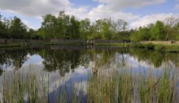 kooiplas met schermen