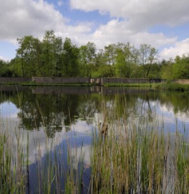 kooiplas met schermen