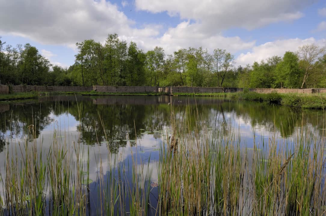 kooiplas met schermen