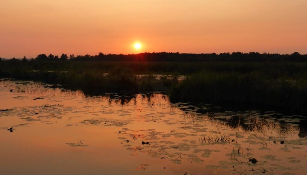 zonsondergang tiemen