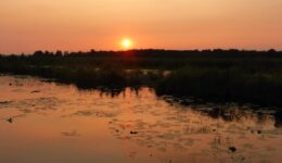 zonsondergang tiemen