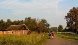 IMG_5443 kopie