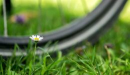 fietstocht (Foto Pixabay)