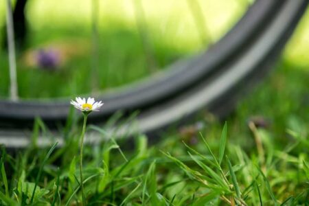fietstocht (Foto Pixabay)