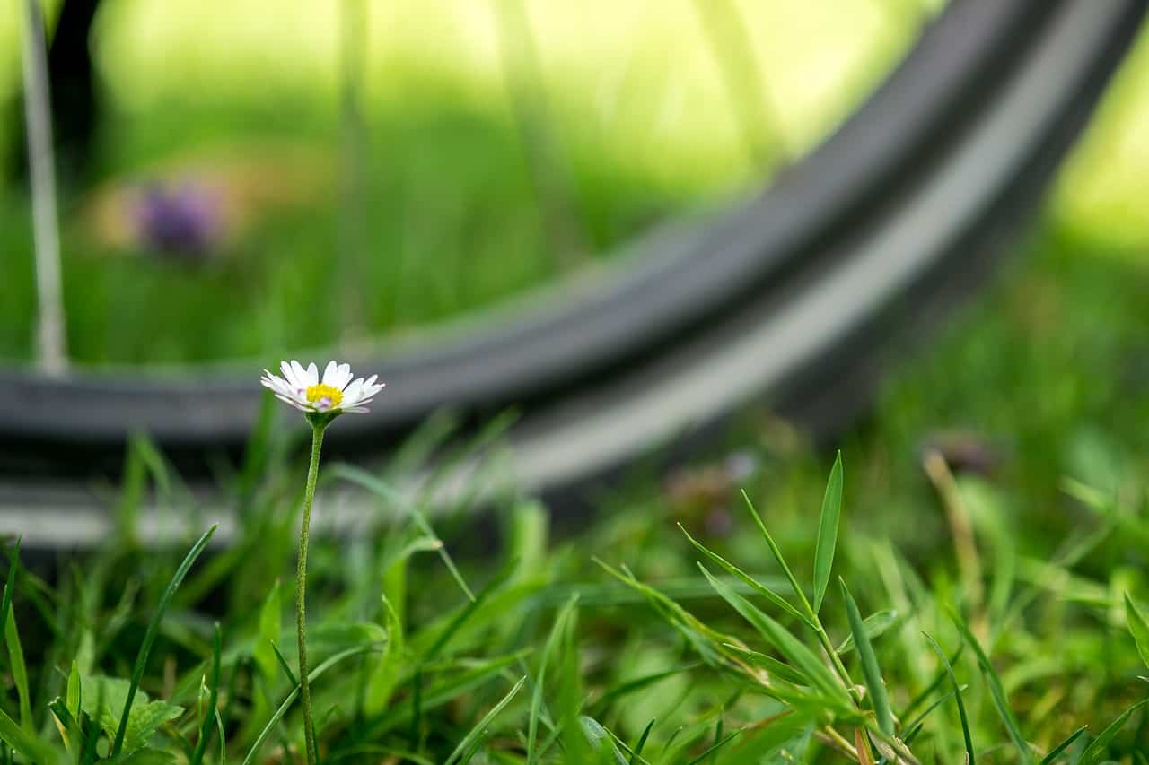 fietstocht (Foto Pixabay)