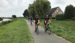 hollands