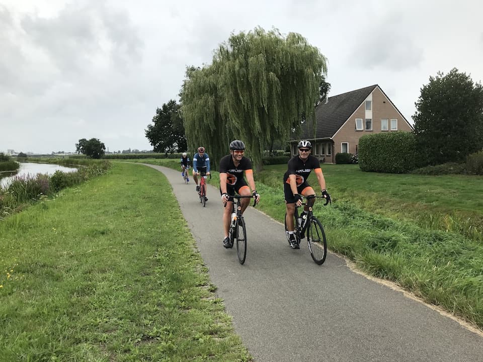 hollands