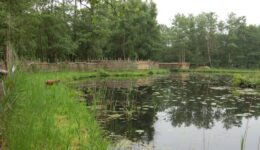 kooiplas schermen
