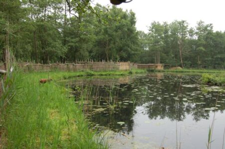 kooiplas schermen