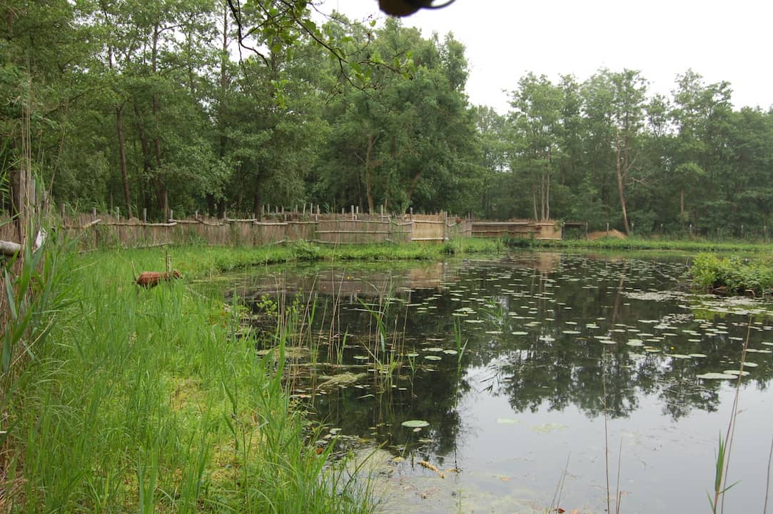 kooiplas schermen