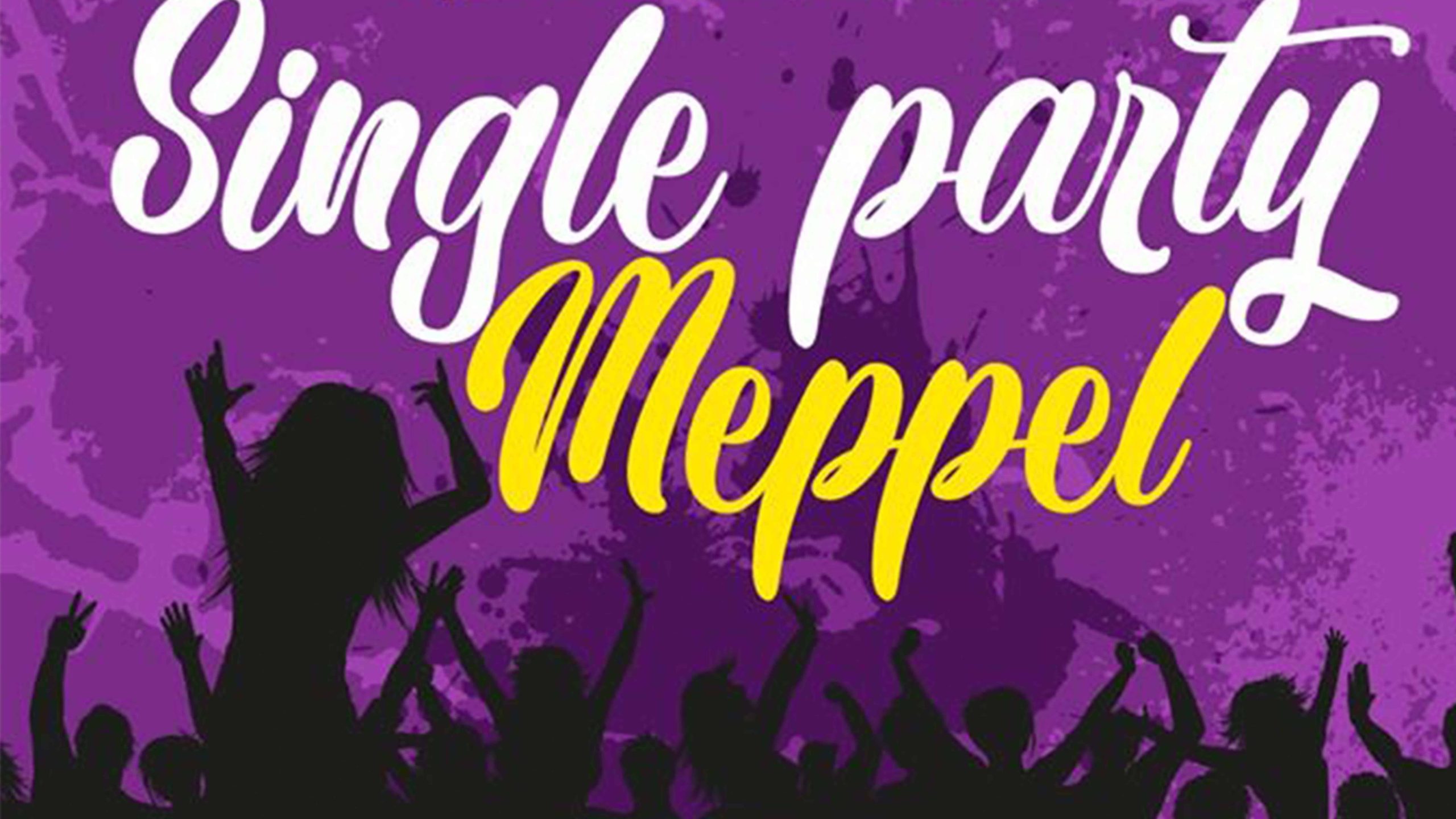 single-party-meppel - aangeleverd