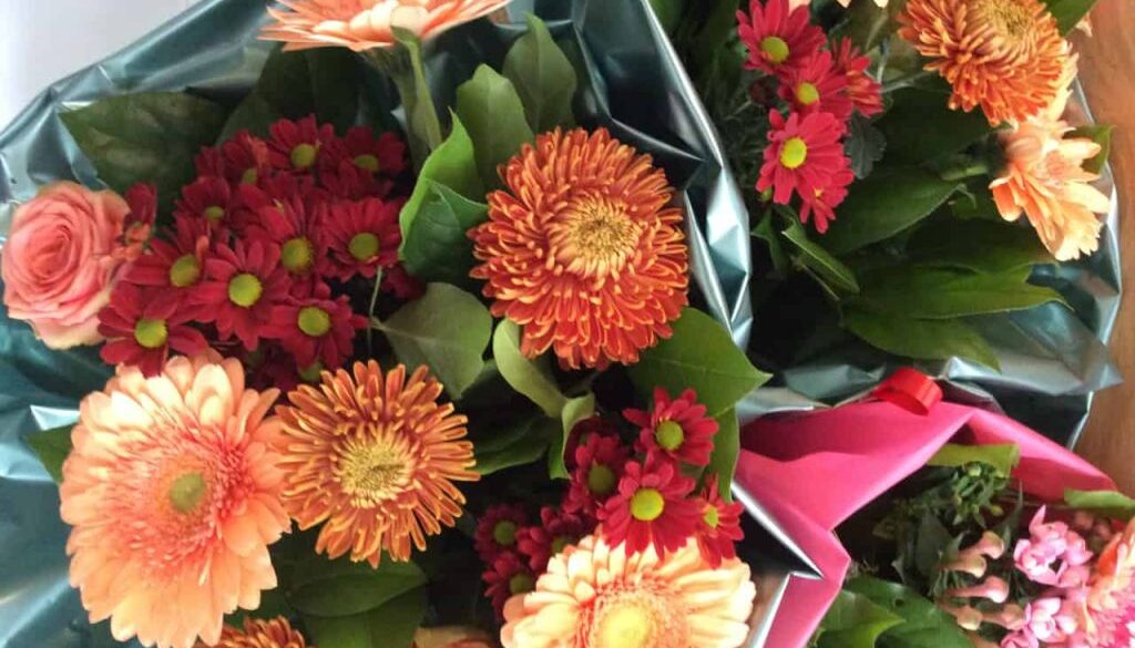 BosBloemen-EigenFoto