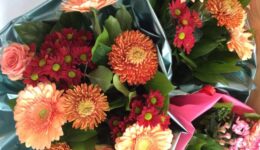 BosBloemen-EigenFoto