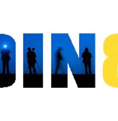 din