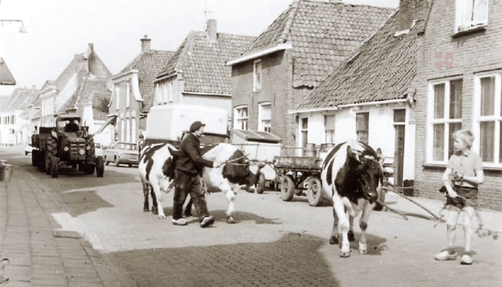 stadsboerderij