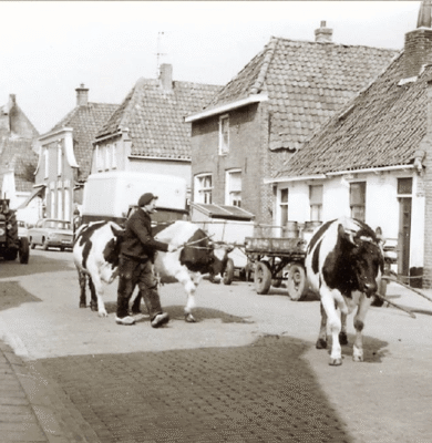 stadsboerderij