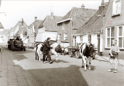 stadsboerderij