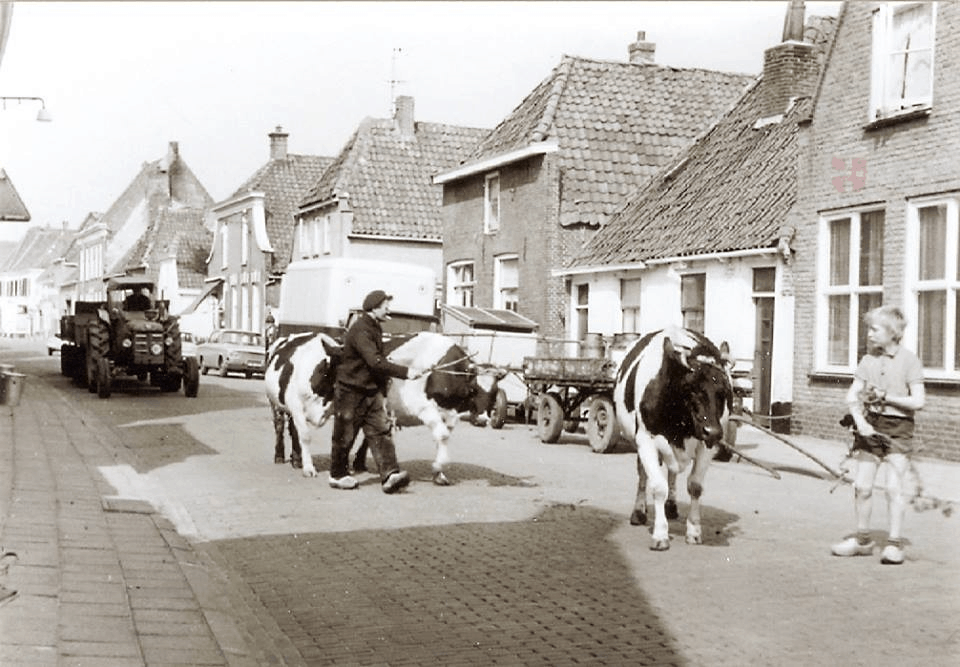 stadsboerderij