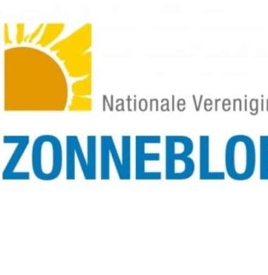 zonnebloem