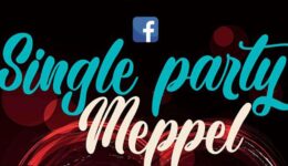 singelparty
