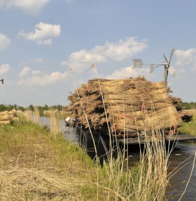 PF_riet vaartocht