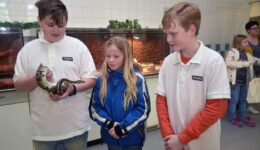 Terra Wolvega Open Dag 2020