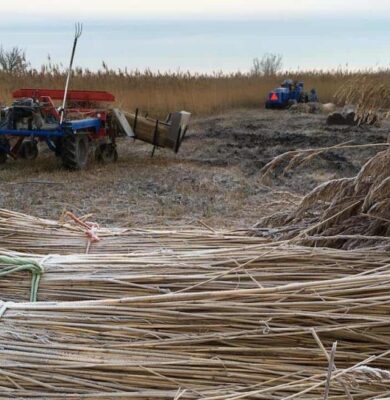 riet-1