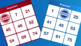Bingo-16-9