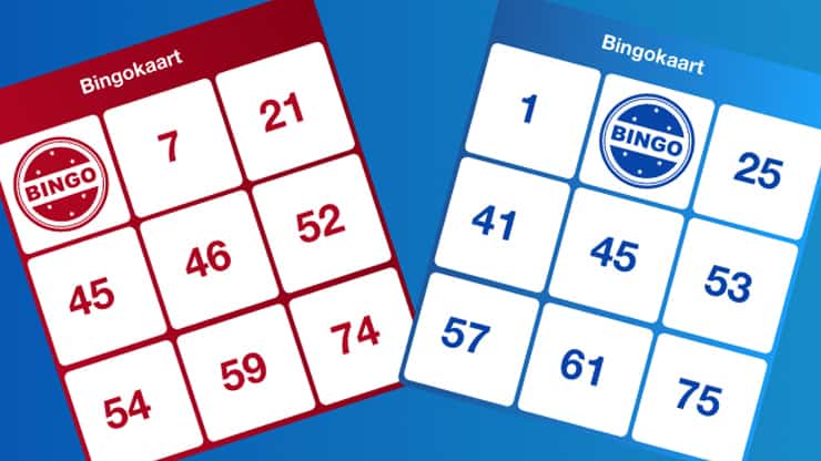 Bingo-16-9